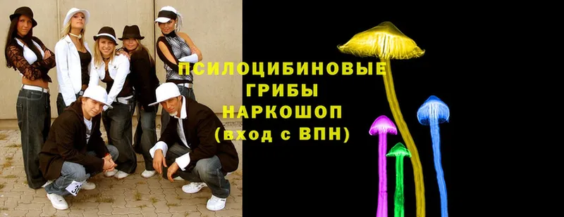 Галлюциногенные грибы Magic Shrooms  цены   Бодайбо 